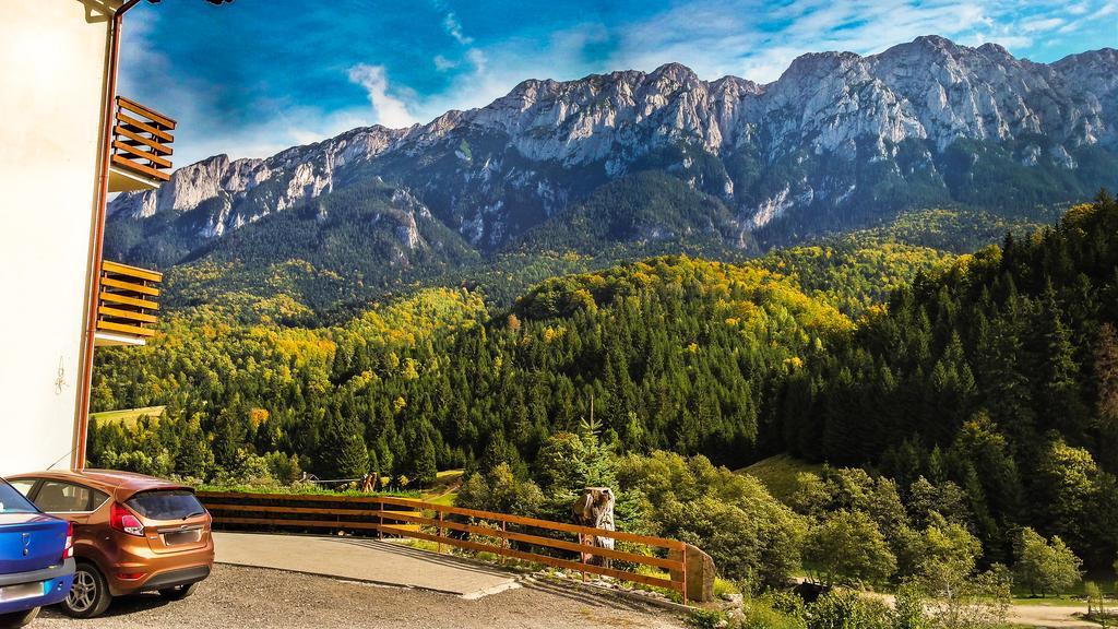 Zărneşti Panorama Pietrei Craiului酒店 外观 照片